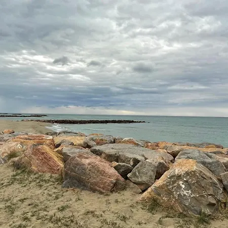 Port Barcares Vue Port Et